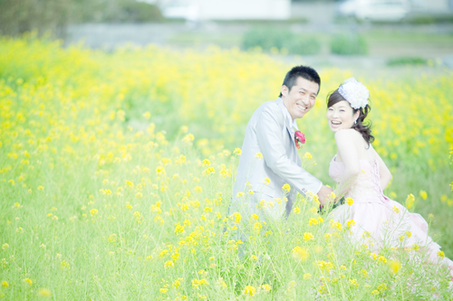 菜の花畑での結婚写真